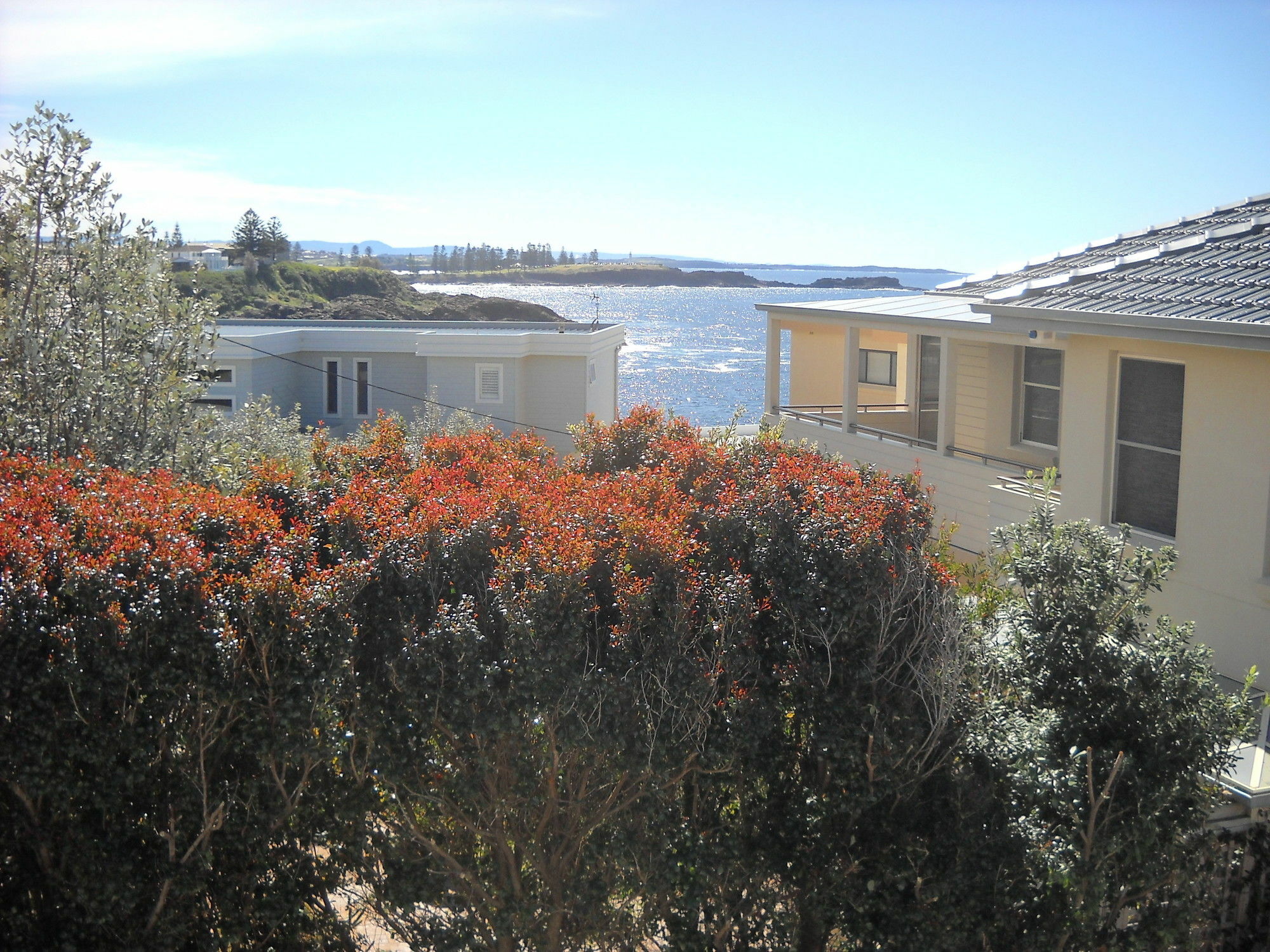 Shutters By The Sea Kiama-Sea Views-Waterfront-Private On Coastal Walk Kültér fotó